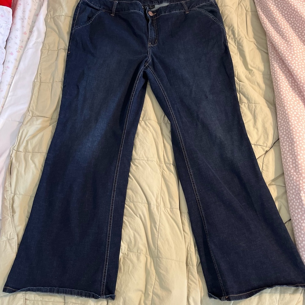 Lane Bryant Flared Jeans